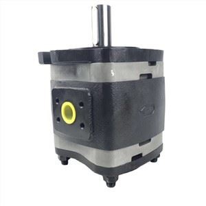 Voith Alemania IPV IPVP6 Serie Bomba de aceite de bomba de engranajes internos hidráulico IPVP 6 80 101